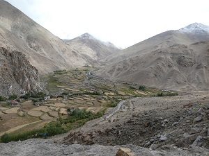 Harvested fields Ladakh