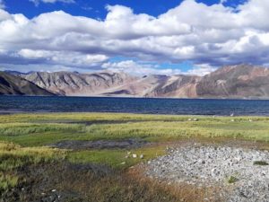 Pangong Tso, a nature playground 