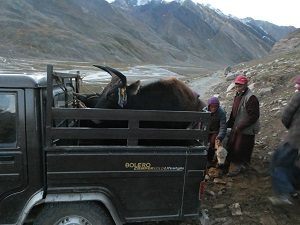 Nomads on lower Penzi La Pass