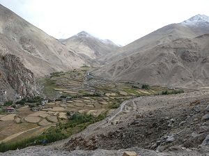 Fertile Valley near Chang La Pass 