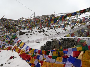 Prayer Flags, Khardung La Pass, Ladakh, India