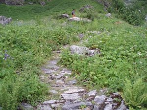 Our guide on the trek through the Valley of Flowers, India, 2006