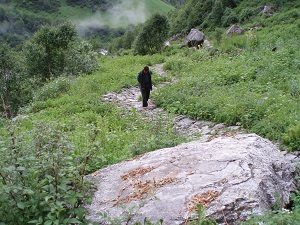 Suresh on the track in the Valley of Flowers India 2006