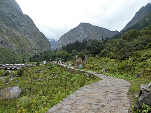 A last look back up the track to the camp and VOF beyond as we head down the valley once more. Himalayas, India