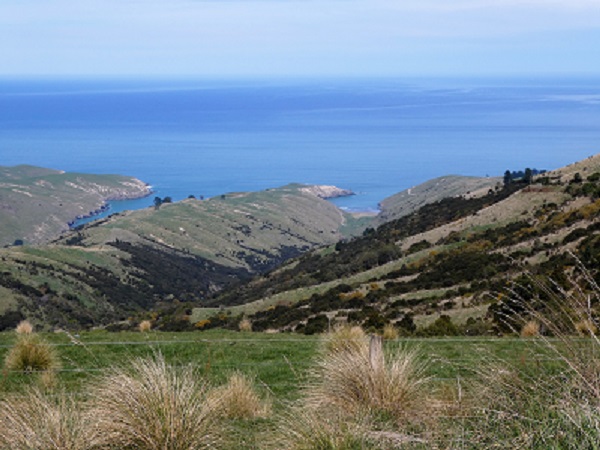 The bays of the South Banks Peninsula. Canterbury, NZ 