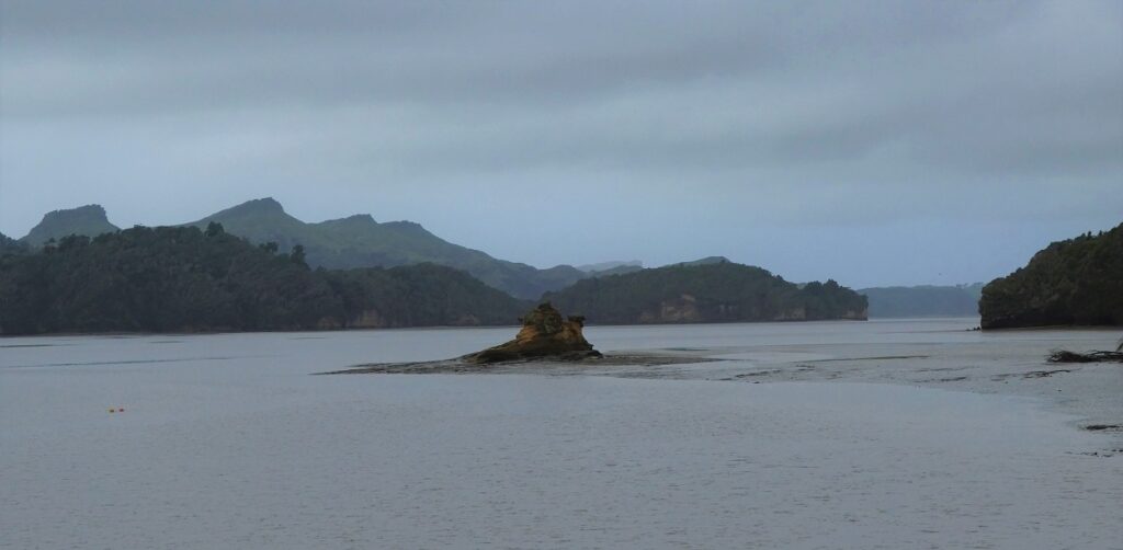 Whanganui Inlet mud flats with the tide out