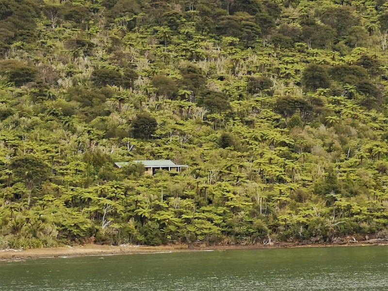 A house among the native bush seen from the 'Mail Boat'