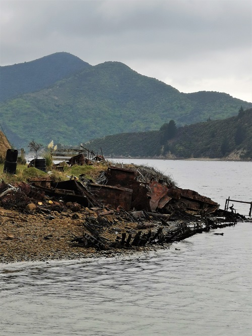 Burnt hulls of scarpped boats on the shore