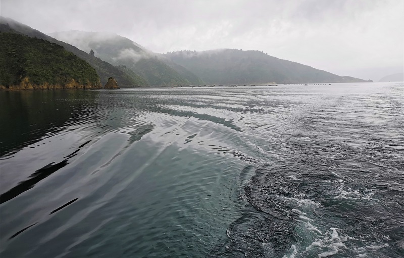 The calm waters of Pelorus Sound