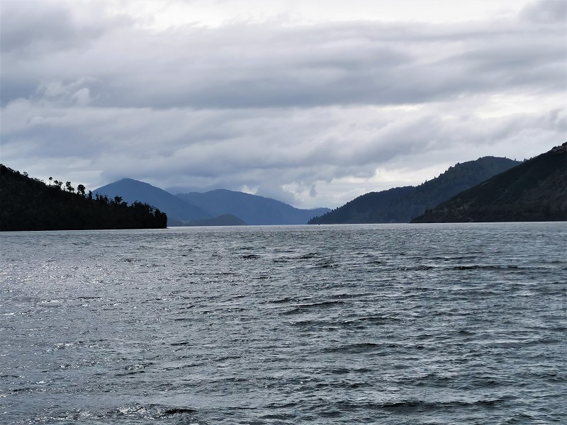 The view up Pelorus Sound