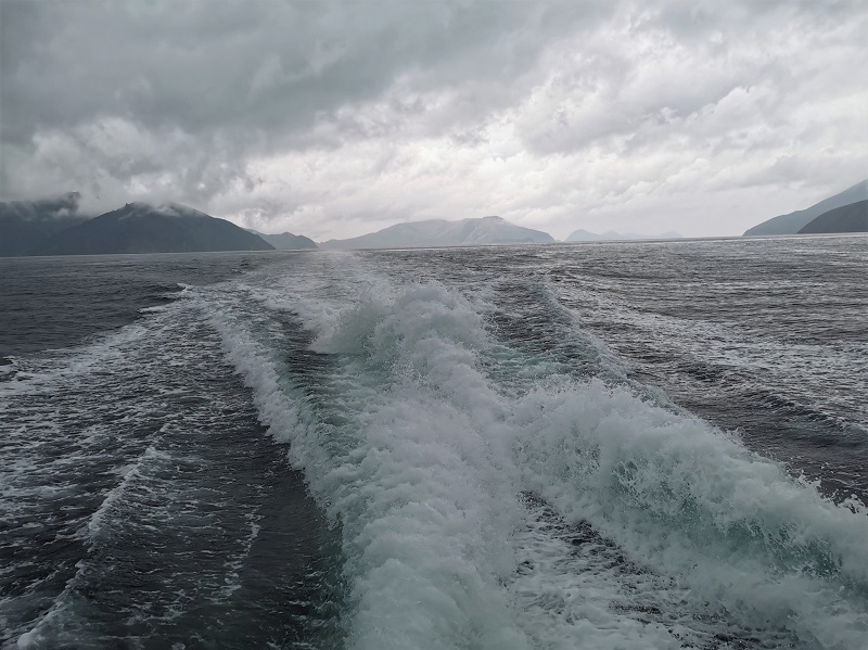 The wake of the boat as we head back to Havelock leaving the outer regions of Pelorus Sound