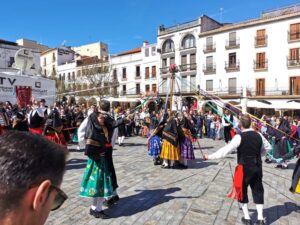 A maypole in Cáceres at the beginning of the blossom festival