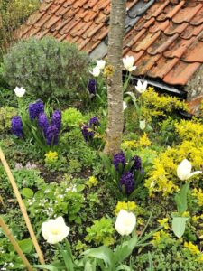 Spring flowers create a subtle perfume as you walk by in the Shrine of Mary garden