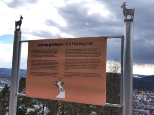 An information board about the Cashemere Goats on Mt Fløyen