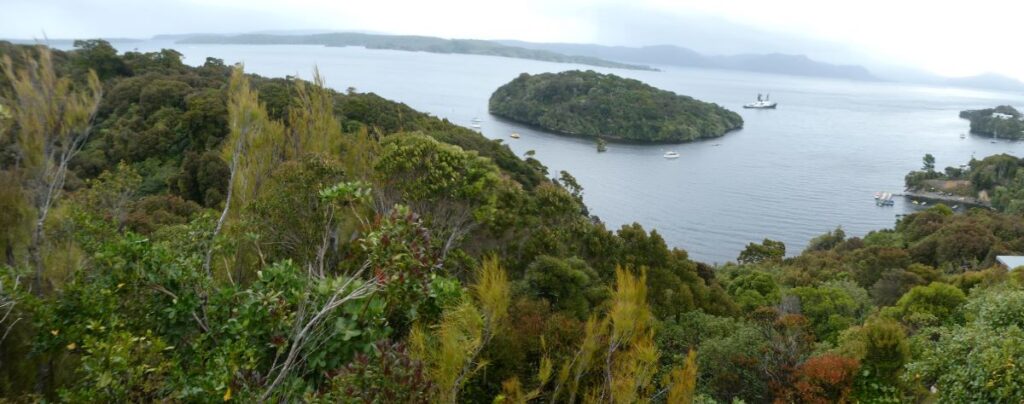 A wide angle view of Paterson Inlet from the Observation Rock Viewpoint