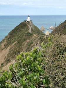 The Nugget Point Lighthouse from the track leading there