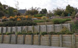 The gardens in development at our Roseneath accommodation
