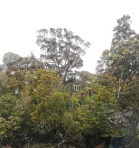 The relocated house in the bush of Paterson Inlet as seen through the rain splattered window of Rakiura's boat