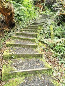 The stairway coming off the Garden Mound track