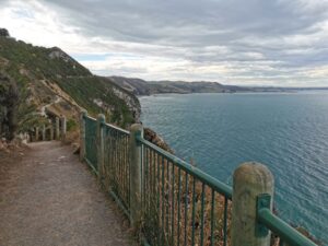 The view back along the coast towards Kaka Point township from the track to the Nugget Point Lighthouse