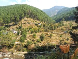 A farm in the forest clearning across the Tons River