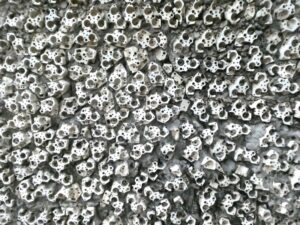 Broken and old power points used in the creativity of Rock Garden Chandigarh