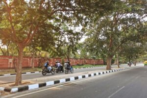 The street and cycle way in Chandigarh