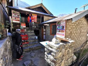 Mandakini Restaurant, apples on display in Bagori village