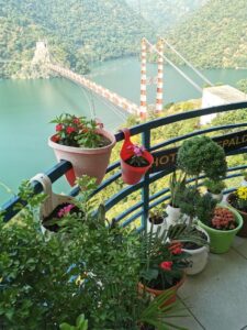 Peepal Daali Bridge and the Selfie Point Hotel