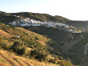 A view towards Iznate from the road back towards the coast