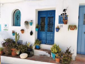 A white house with blue door, cactus and other plants in Frigiliana