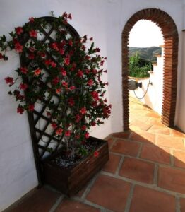 An archway in the Casa Bambu complex