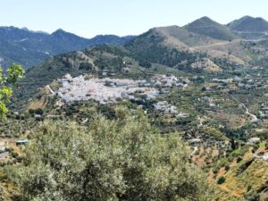 Cannilles de Albaida