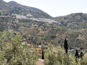 Competes and the bodegas and homes on the surrounding hills