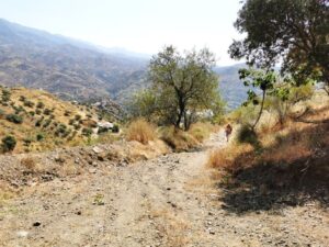 Manfred on the walk from Karma Guen to the stupa
