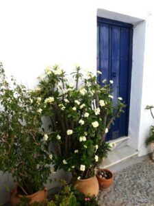 Plants, white village, and coloured door