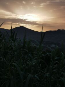 Sun setting from Casa Bambu