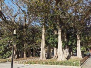 The North entrance to Park Andalucia, Vélez-Málaga Spain