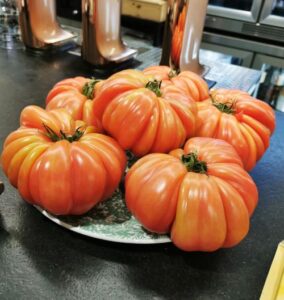 Tomatoes on the bar of Cruza la Calle Bar - the most delicious tasty tomatoes used in the dishes we ate