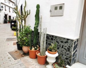 Cacti decorate the streets of Ojén