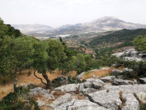 El Burgo, Olive groves & the Grazalema National Park