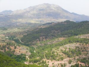 Olive trees and forest in the hills above the coast of Southern Spain