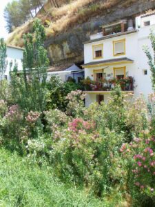 The colourful wildflowers against the background of window boxes of the cave houses in Setenil de las Bodegas