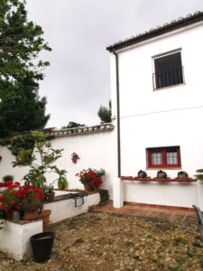 The terrace beside the door to the reception area and the ancient tree to the left