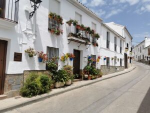 A house decorated with flowerpots on a street in El Gastor