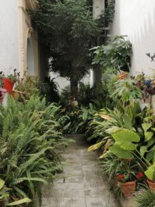 A small alley near the Iglesia in El Gastor