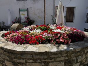 An old filled in well full of colouful flowers in Plaza de Andalucía, Grazalema