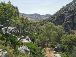 Benaocaz from the Ojo del Moro track