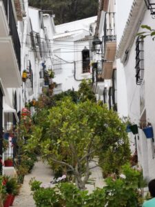Calle Alta on the Ruta de las Flores El Gastor