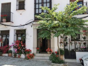 Colourful houses in the white village of Grazalema